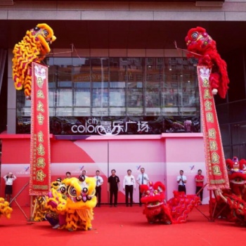 防城港专业舞龙舞狮武术表演