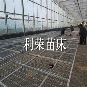 利荣热镀锌移动苗床尺寸定制，价格公道
