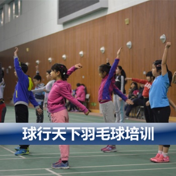 球行天下东城地坛体育馆青少年儿童羽毛球培训
