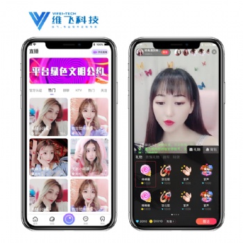 手机APP定制开发，专业团队，实体公司