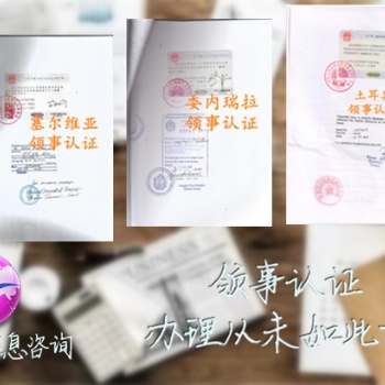 尼加拉瓜大使馆认证销售声明