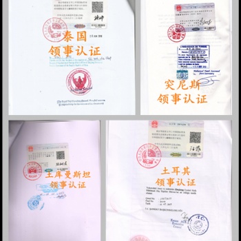 阿尔及利亚审计报告领馆盖章;阿尔及利亚领馆盖章