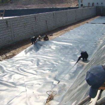 黑龙江hdpe土工膜生产厂家防渗土工膜价格