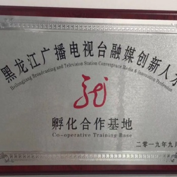 抖音企业账号，政务账号代运营，策划包装获取曝光