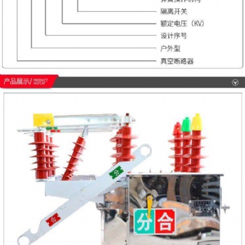 ZW8柱上真空断路器 智能分界开关带隔离 厂家**