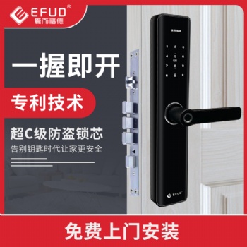 智能锁，防盗门指纹锁，酒店民宿密码锁，公安监管锁，公租房锁