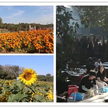 在东莞可以野炊又可以看花休闲游玩的农家乐