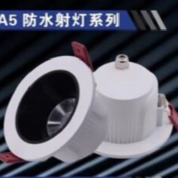 射灯LED灯A5防水系列天花灯