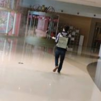 福州主营白蚁、老鼠、蟑螂、蚊蝇等虫害消杀服务
