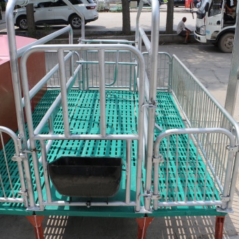 母猪产床 复合双体产床 母猪分娩床