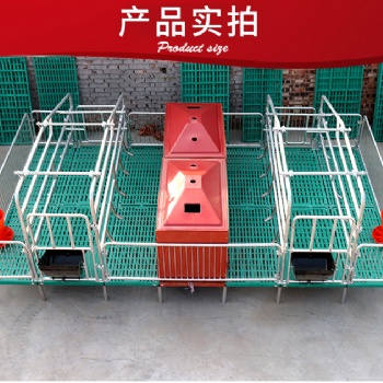 加厚养殖用母猪产床 双体全复合板母猪产床