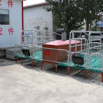 畜牧场母猪分娩产床热镀锌产床母猪