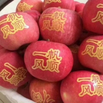 水果印刷机 手动苹果印字机 简易苹果印字机器 苹果印字机小型