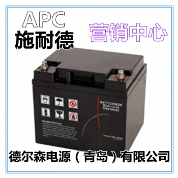 施耐德APC蓄电池BATT1224循环深度放电12V24AH绿色储蓄储能