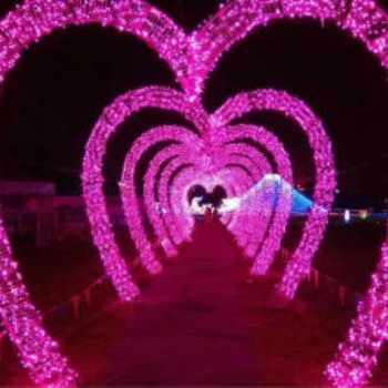 观赏周口夜景梦幻灯光节策划布展出租厂家