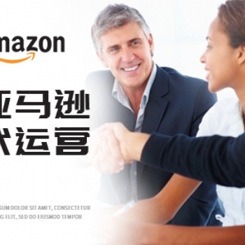 亚马逊代运营 亚马逊网店装修设计