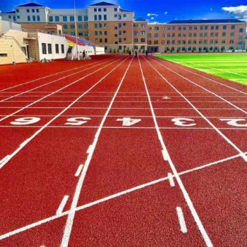 广东深圳混合型塑胶跑道工程建设施工