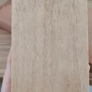 批发山樟木，山樟木的用途和价格