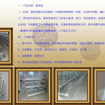 蛋鸡笼 阶梯式蛋鸡笼 层叠式蛋鸡笼 镀锌蛋鸡笼
