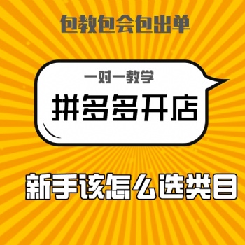 2021新手小白做拼多多无货源从0讲解，单类目精细化运营实操指导