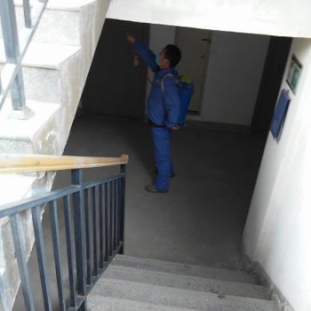 运城岚信除四害公司经验丰富值得