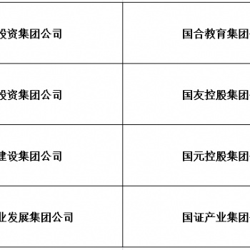 停批国字号集团公司转让
