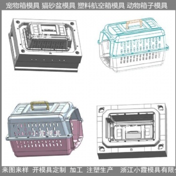 折叠飞机托运宠物箱子塑料模具供应商