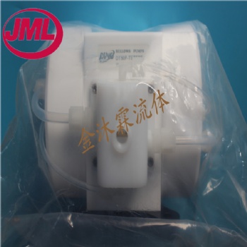 现货供应DINO电子级风囊泵，DT100-TETETE，PTFE隔膜泵