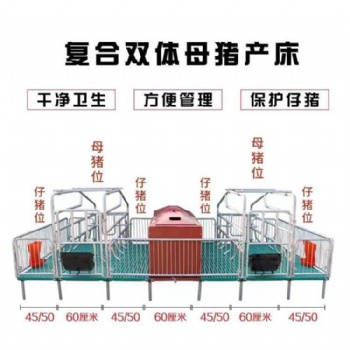 产床产保一体猪用产床母猪产床分娩栏双体产床