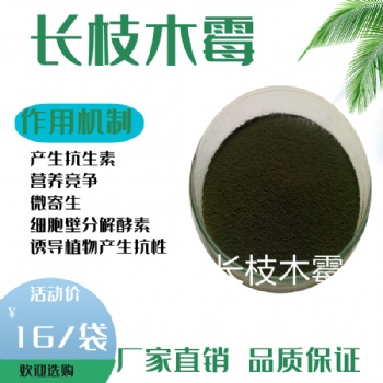 长枝木霉菌粉秸秆腐熟剂生物肥料菌剂有机肥料发酵菌剂