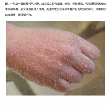 温泉机绢水素风吕水处理设备