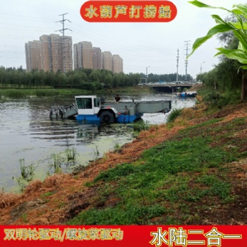 水葫芦打捞船 浒苔打捞船 水浮莲打捞船 湖面垃圾清理船