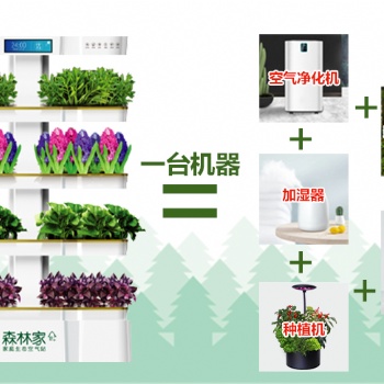 心福地森林家家庭治理机