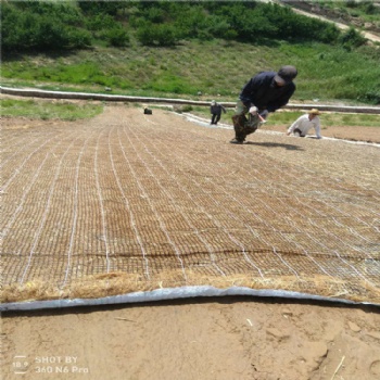 黑龙江省 植物纤维毯 植草毯 椰丝毯 边坡绿化 屋顶绿化 花园绿化