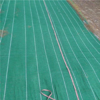宁夏草毯 防冲生态毯 防冲生物毯 绿化毯 铁道河道边坡绿化