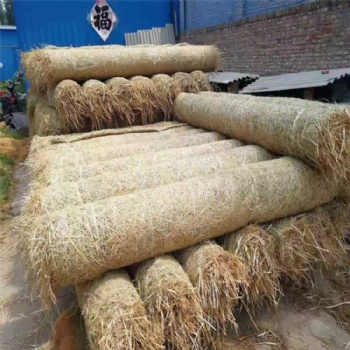 佛山市环保草毯 边坡绿化生态植物纤维毯 椰丝毯 高速公路边坡绿化