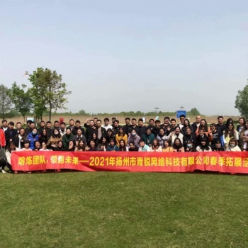 扬州做网站建设计公司，扬州百度开户运营服务SEM优化