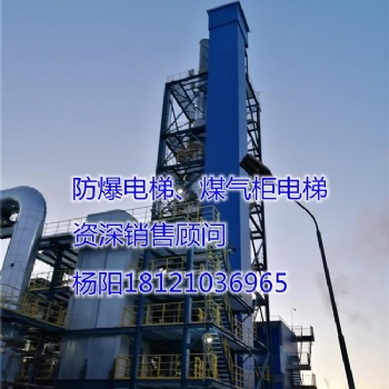 供应湖北省黄冈市罗田县防爆电梯、煤气柜电梯