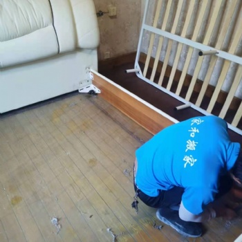 长兴附近搬家公司哪家好