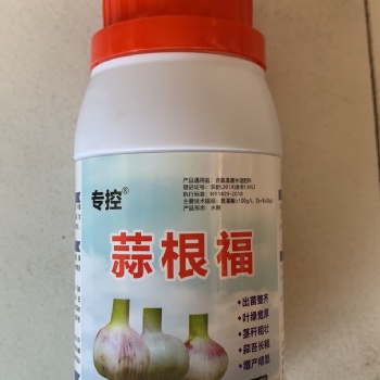 大蒜增产好肥料，蒜根福，用三遍增产明显看的见