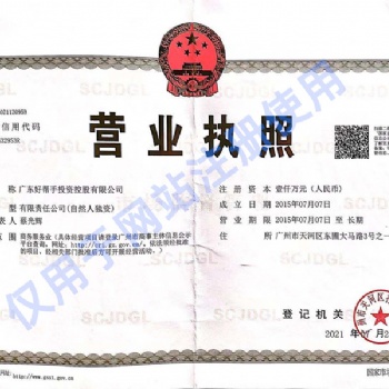 广东好帮手投资控股有限公司