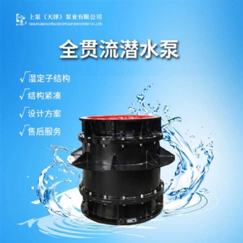 广东经销商800QGWZ-70J大流量双向排水全贯流潜水电泵生产厂家