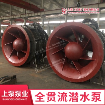 广西办事处800QGWZ-85大流量双向排水全贯流潜水电泵生产厂家