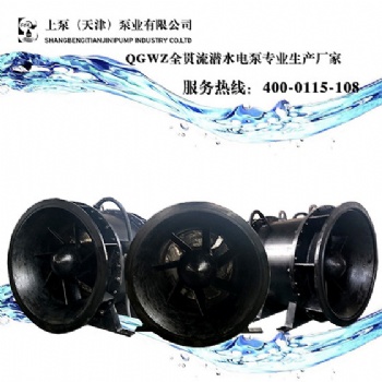 福建办事处800QGWZ-125大流量双向排水全贯流潜水电泵生产厂家
