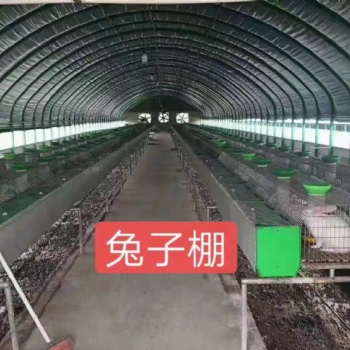 镀锌管，热镀锌钢管，蔬菜大棚，椭圆管大棚
