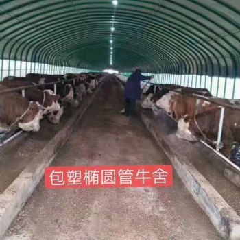 椭圆管大棚，日光温室大棚，蔬菜大棚，养牛大棚