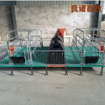 落地式母猪产床养猪设备现货供应双体分娩床 现代养猪场养殖设备双体母猪产床