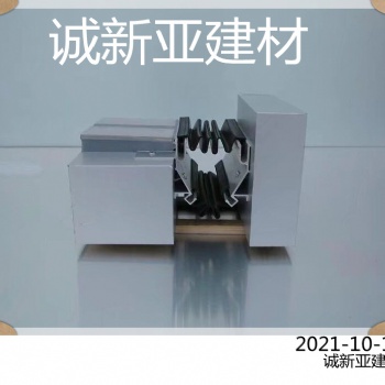 肇庆市 诚新亚双列钳平型变形缝安装方法