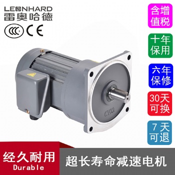 雷奥哈德 100W200W400W750W1500W2200W3700W立式卧式中型齿轮减速电机 厂