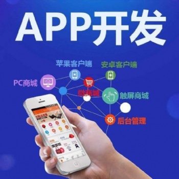 批发定制APP系统开发